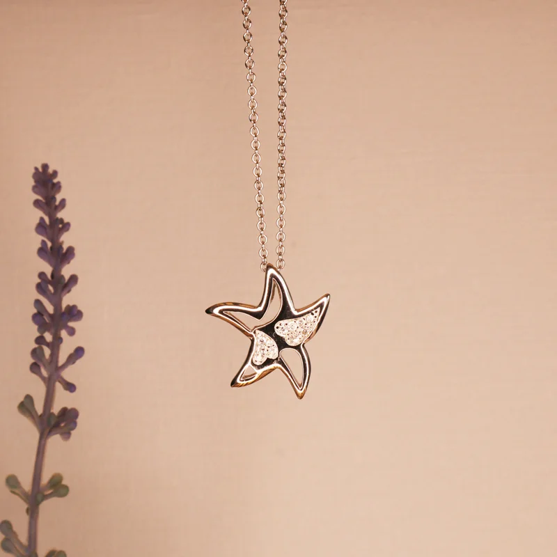 Collar de plata estrella y corazón - Imagen 3